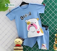 BS221-060004 BỘ SỌT