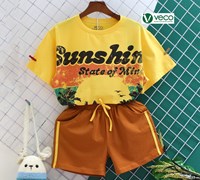 BS221-060006 BỘ SỌT